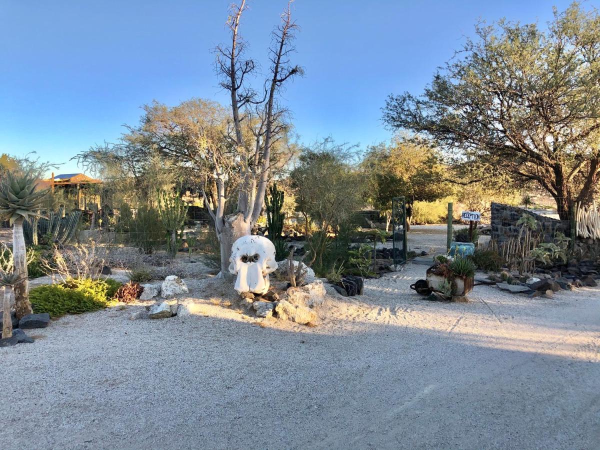 Uis Daureb Isib Campsite And B&B מראה חיצוני תמונה
