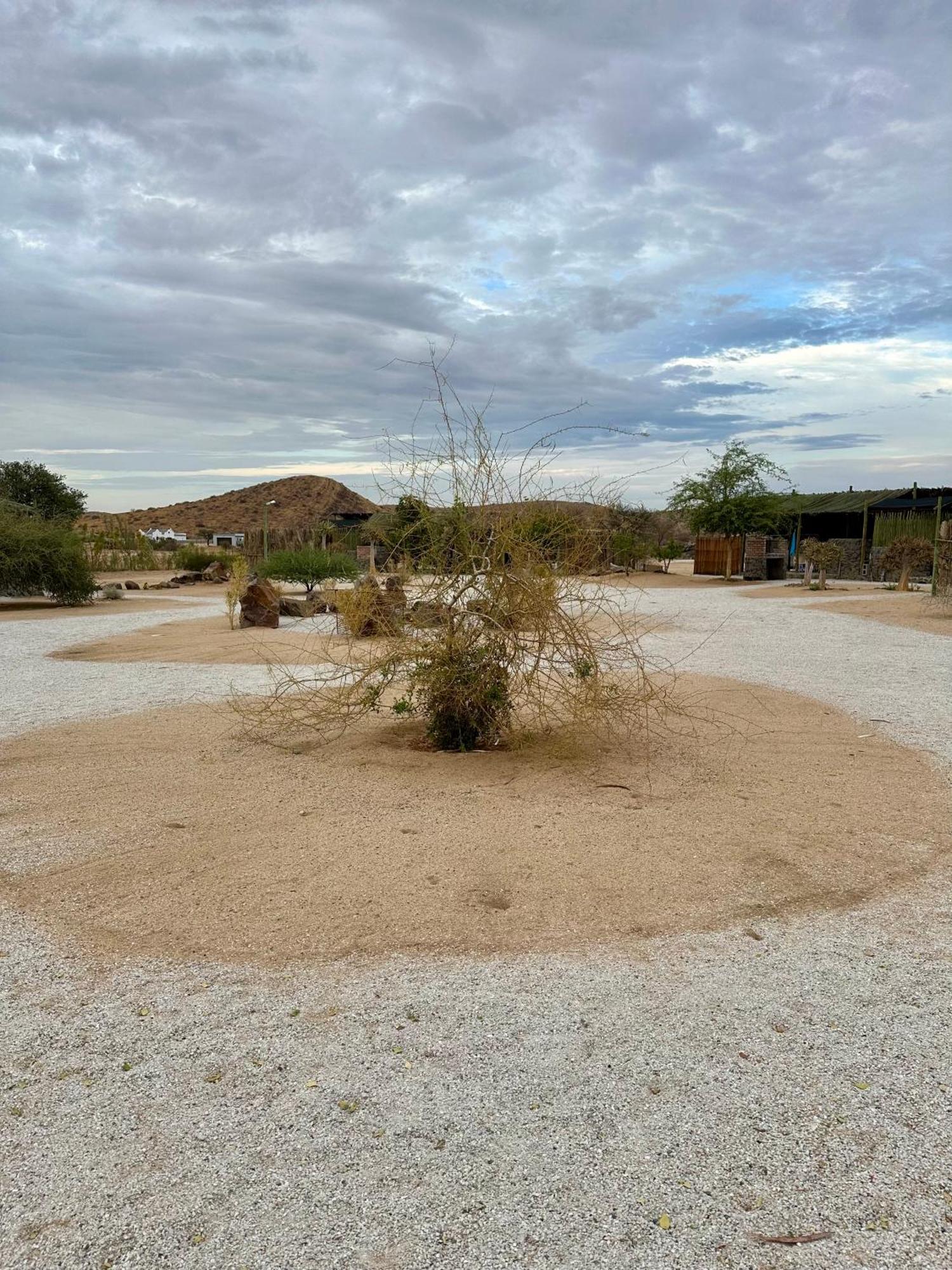 Uis Daureb Isib Campsite And B&B מראה חיצוני תמונה