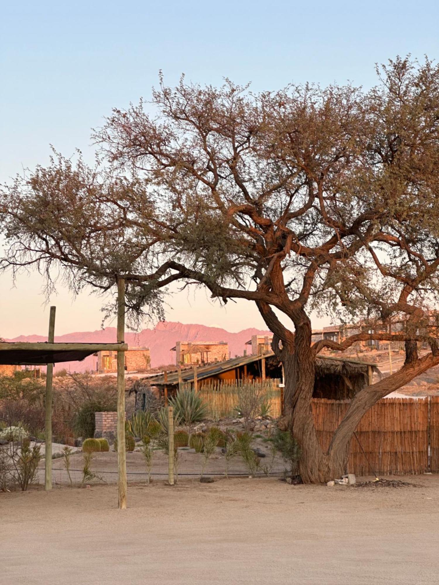 Uis Daureb Isib Campsite And B&B מראה חיצוני תמונה